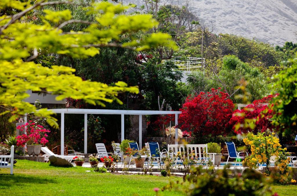 Lunahuana Hotel | Hotel Los Palomos