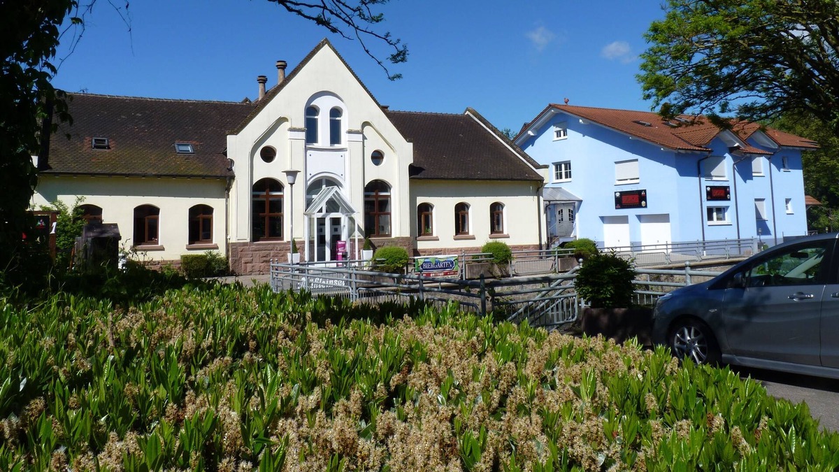 Kenzingen Hotel | Hotel Mühleinsel