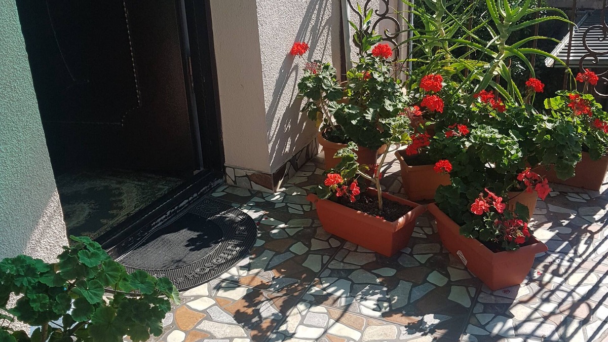 Kutaisi Hotel | Hotel Mariana