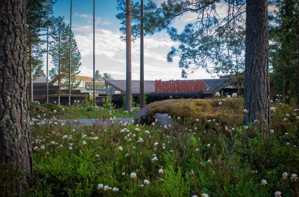 Ahtari Hotel | Hotel Mesikämmen