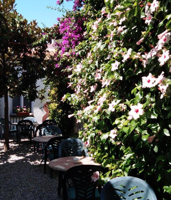 Canet de Mar Hotel | Hotel Mitus