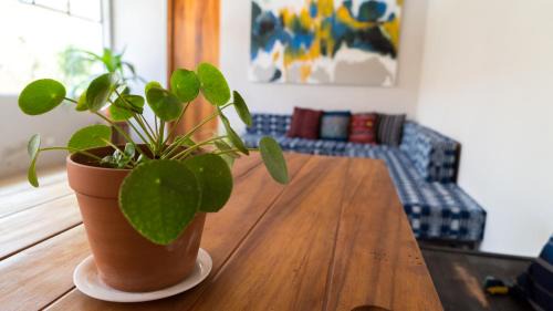 Quetzaltenango House | Hotel Muchá