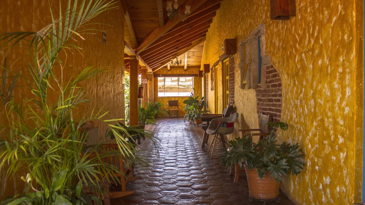 De Mexicanos Hotel | Hotel Posada Primavera