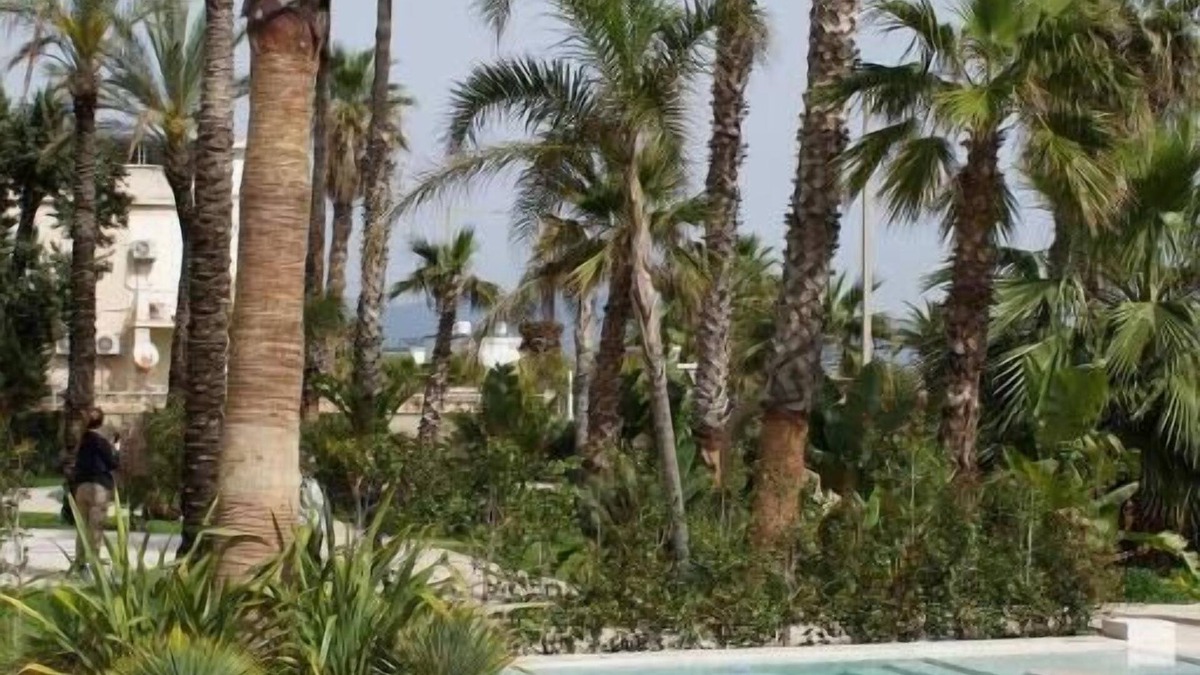 Poetto Hotel | Hotel Nautilus Excelsior