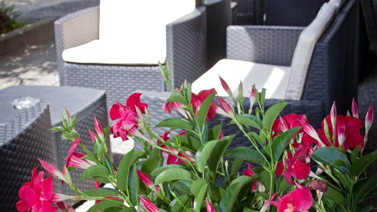 Altavilla Vicentina Hotel | Hotel New Genziana