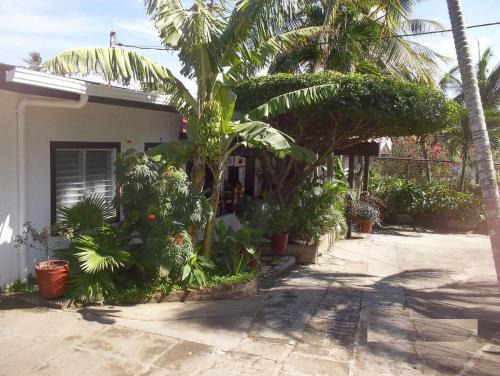 San Jorge Hotel | Hotel Noches Sureñas/Southern Nights Nicaragua