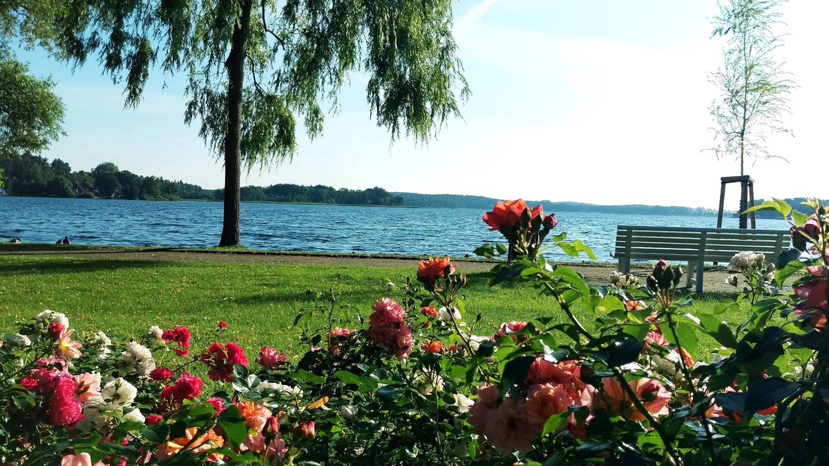 Krakow am See Hotel | Hotel Nordischer Hof