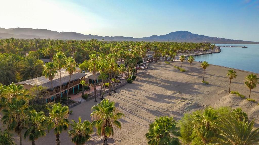 Loreto Hotel | Hotel Oasis