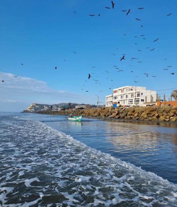 San Clemente Hotel | Hotel Ola Bella