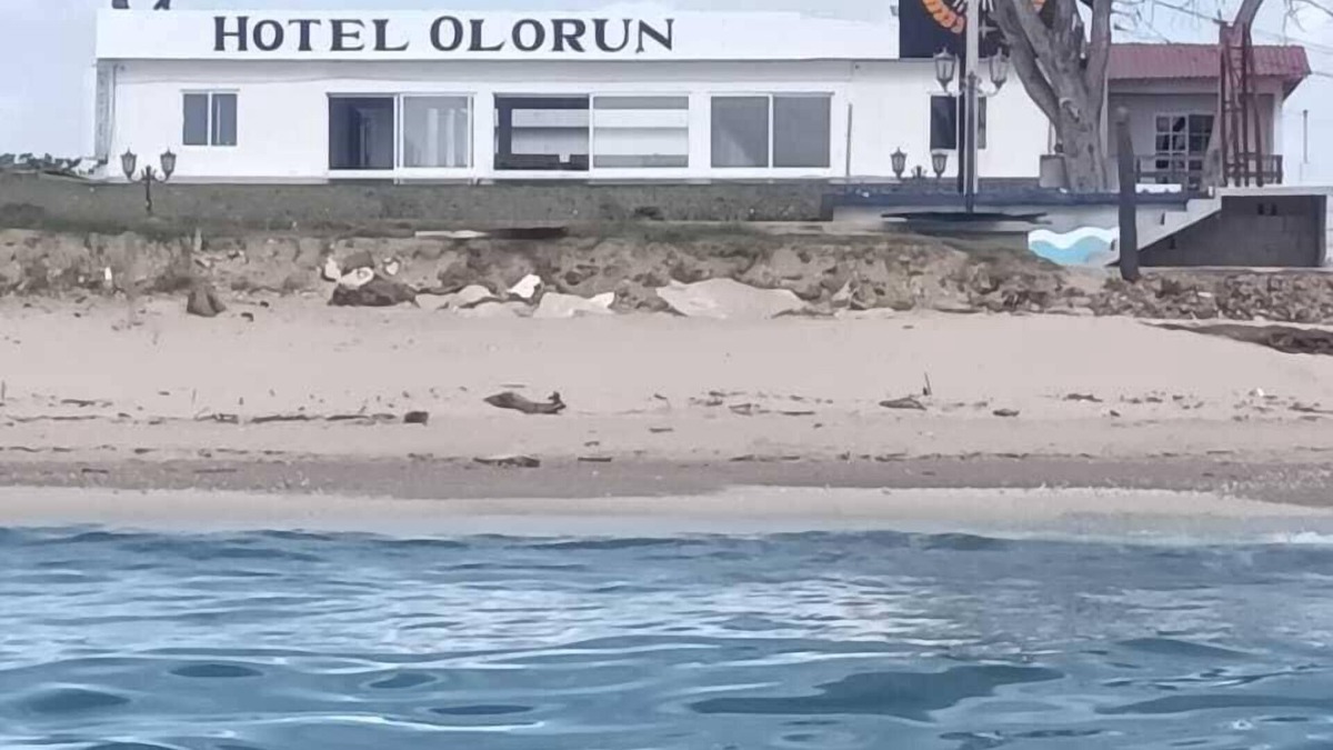 Aldama Hotel | Hotel olorun