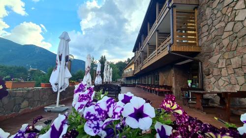 Panichishte Hotel | Hotel Panorama