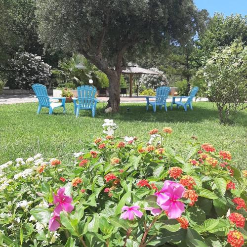 Acquappesa Hotel | Hotel Parco Delle Rose