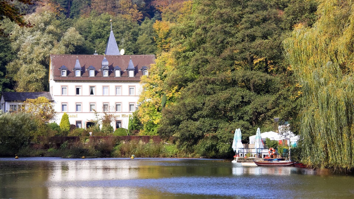 Bad Bergzabern Hotel | Hotel Pfälzer Wald