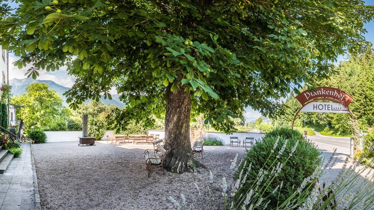 Schwaz Hotel | Hotel Plankenhof B&B