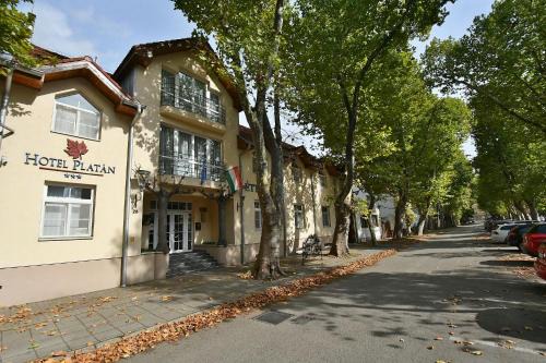 Szekesfehervar Hotel | Hotel Platan