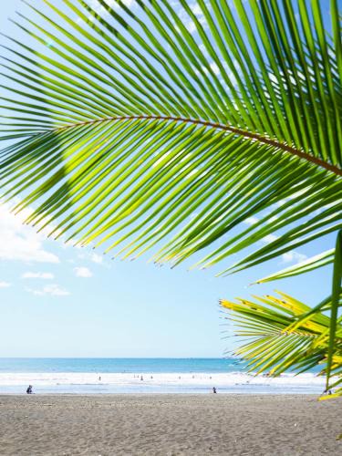 Cambutal Hotel | Hotel Playa Cambutal