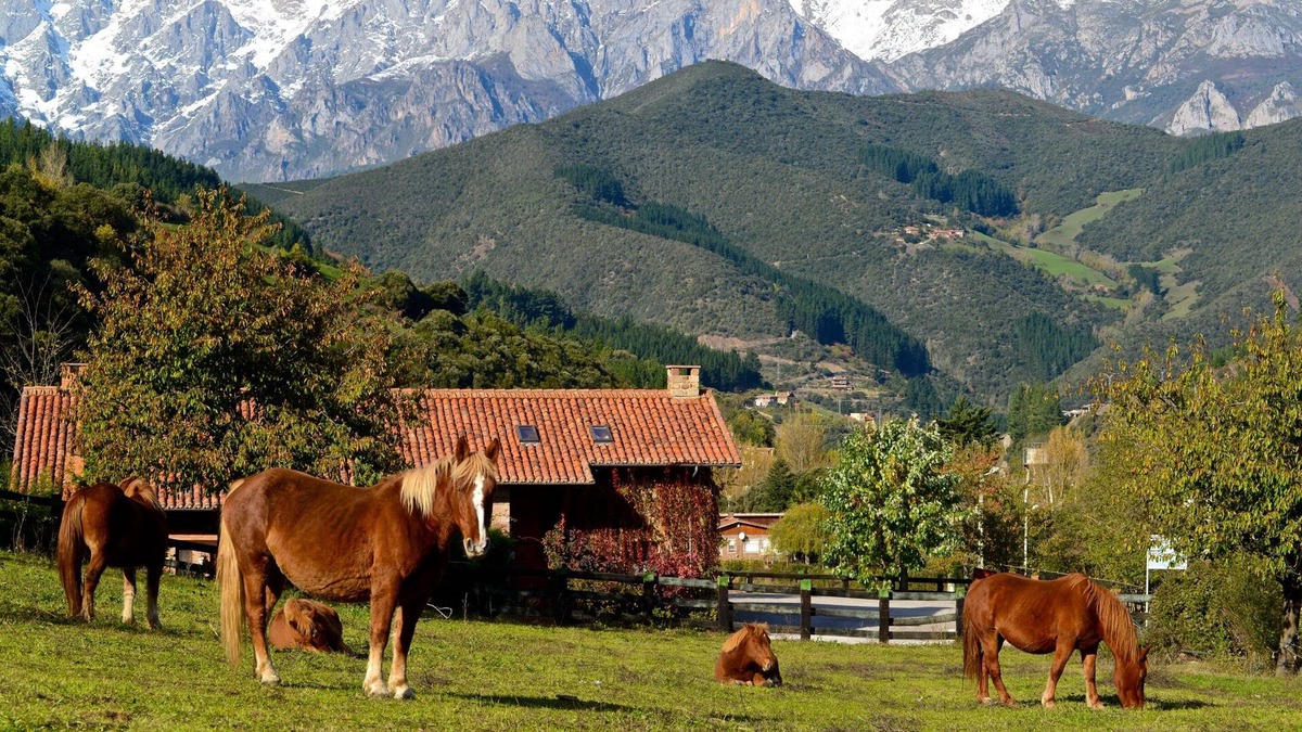 Frama Hotel | Hotel Posada la Casa de Frama