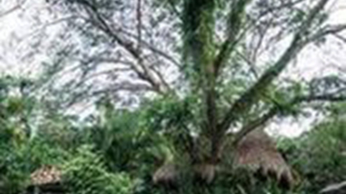 Jalcomulco Hotel | Hotel Quinto Sol