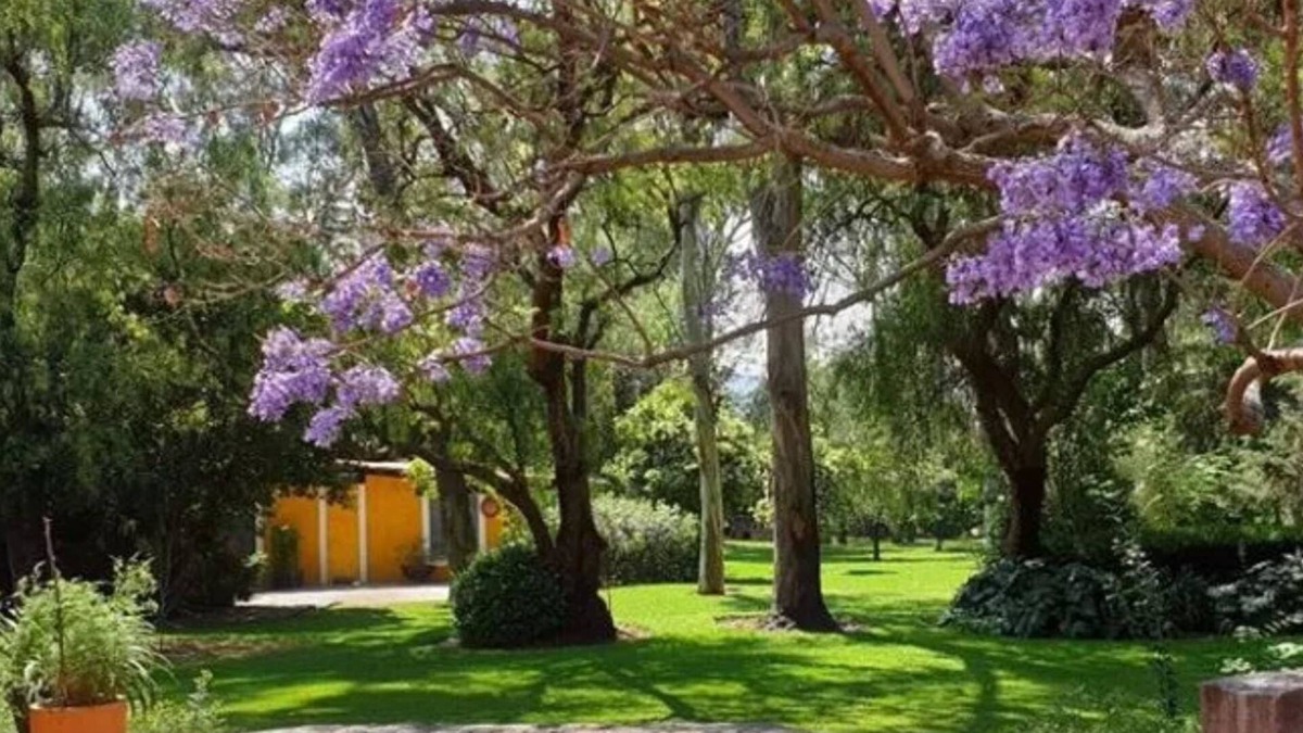 Teotihuacan Hotel | Hotel Rancho San Juan Teotihuacan