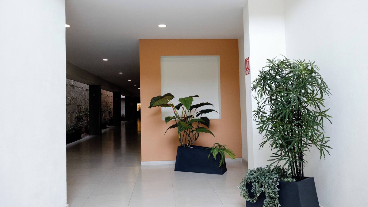 San Juan de los Lagos Hotel | Hotel Refugio
