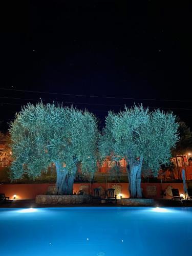 Rodi Garganico Hotel | Hotel Resort Poggio degli Ulivi