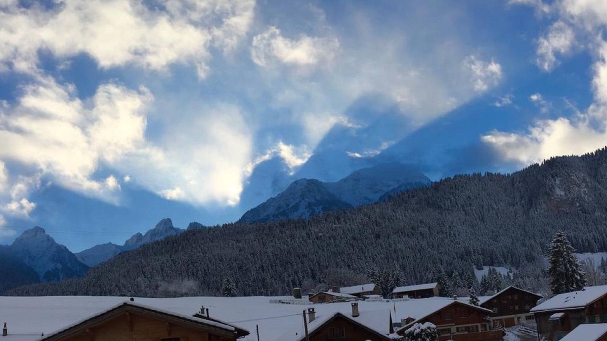 Chateau-d'Oex Hotel | Hotel Roc et Neige