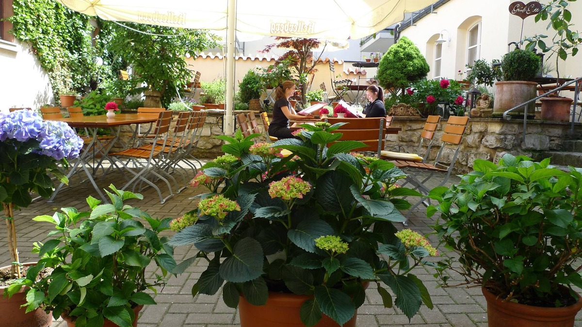 Laucheim Hotel | Hotel Roter Ochsen Lauchheim