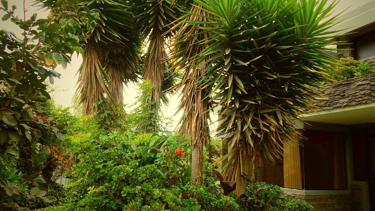 Puembo Hotel | Hotel Rubus