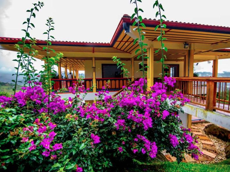 Anserma Hotel | Hotel Terra Belén