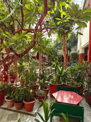 Rakabganj Hotel | HOTEL TOURIST REST HOUSE Agra