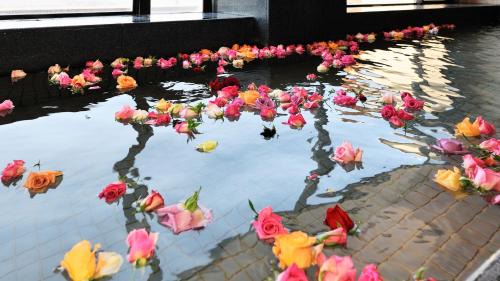 Yudanaka Shibu Onsen Hotel | Hotel Tsubakino