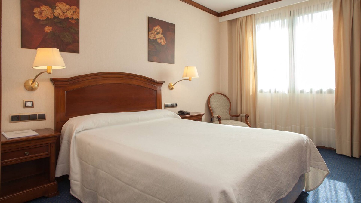 Almazan Hotel | Hotel Villa De Almazán