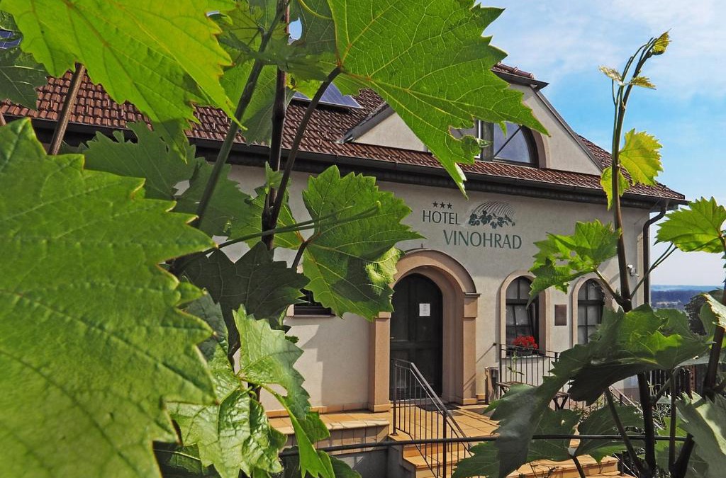 Milotice Hotel | Hotel Vinohrad