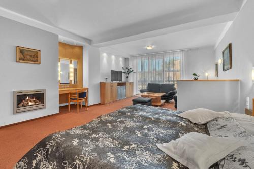 Dvur Kralove nad Labem Hotel | Hotel Za Vodou