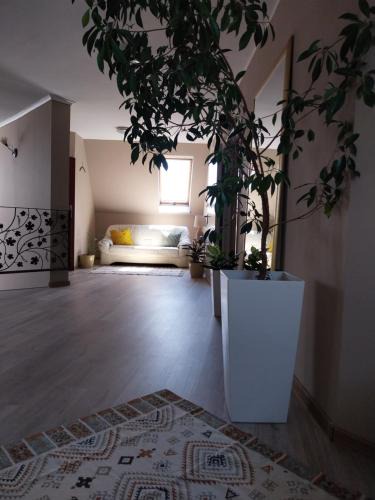 Siechnice Bed & Breakfast | Hotelik pod Baranami