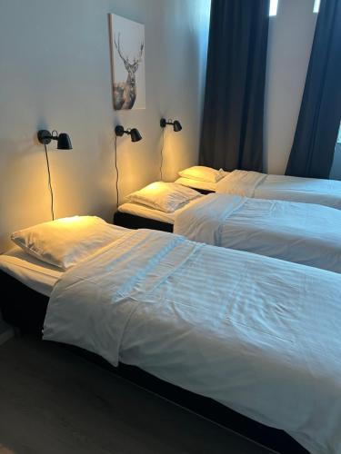 Ronninge Apartment | Hotell Salem