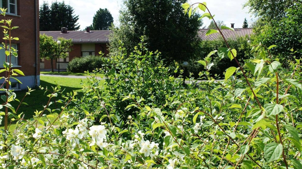 Vindeln Hotel | Hotell Vindelngallerian
