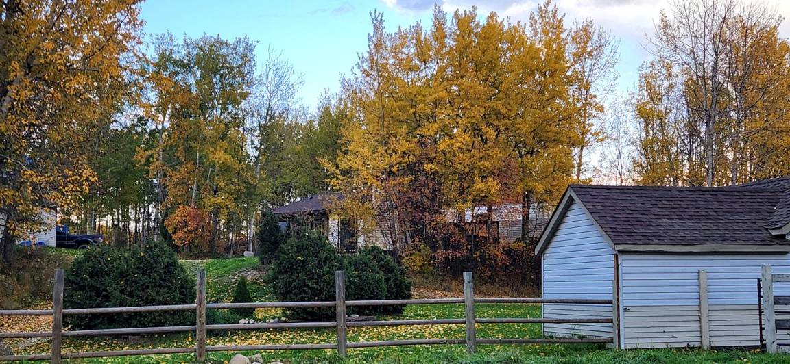 Parkland County House | House ∙ 1 bedroom ∙ 2 guests