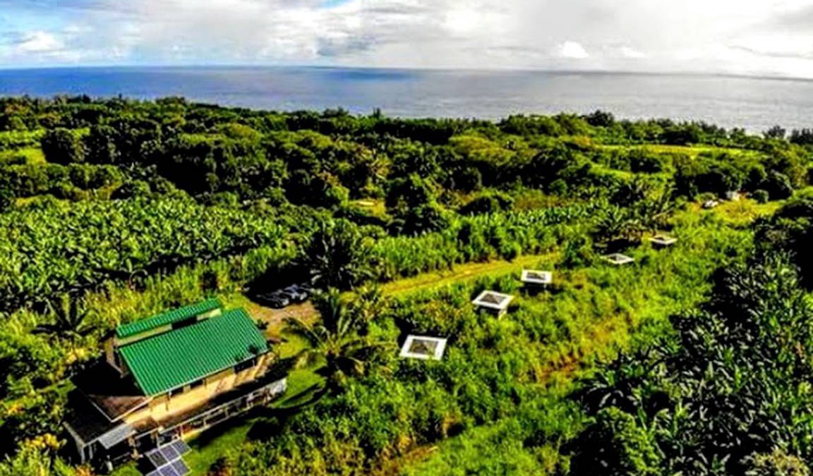 Pepeekeo House | House ∙ 1 bedroom ∙ 6 guests