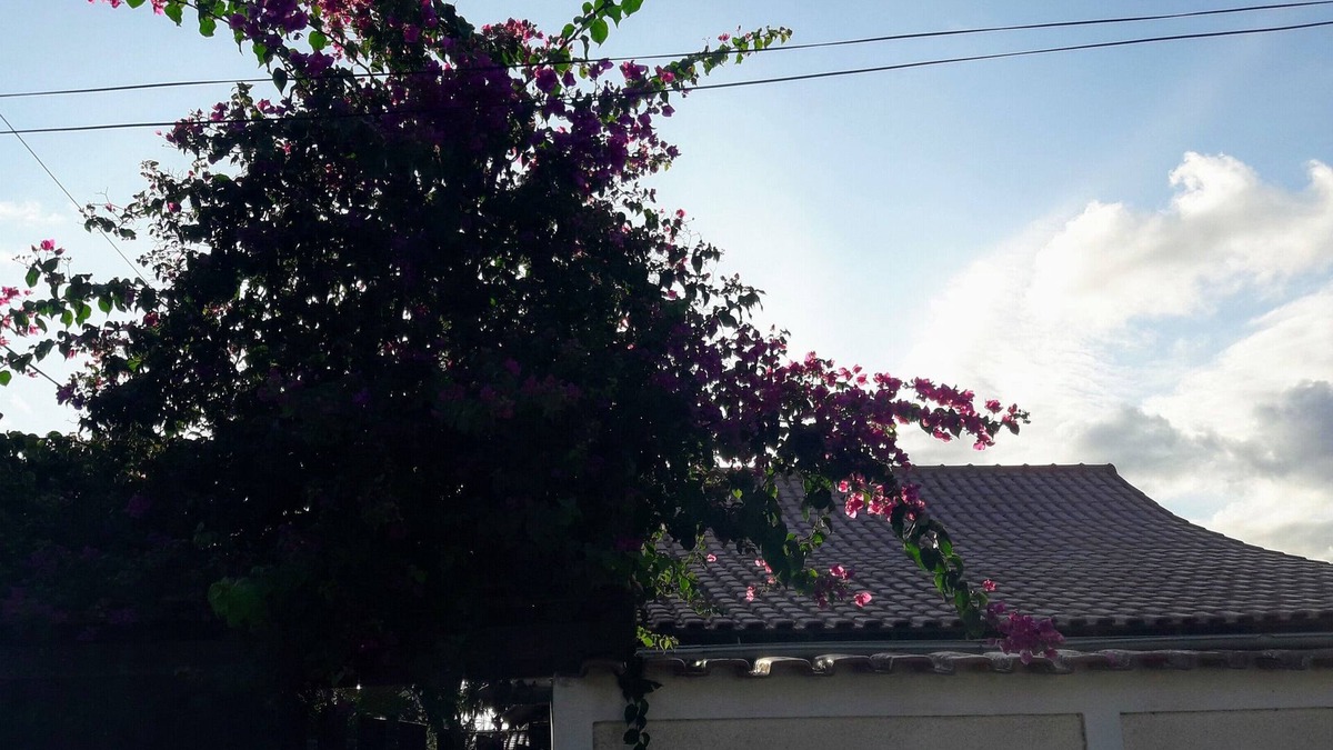 Jacone House | House 2 blocks from Jaconé beach, prime street 5 minutes from the main shops