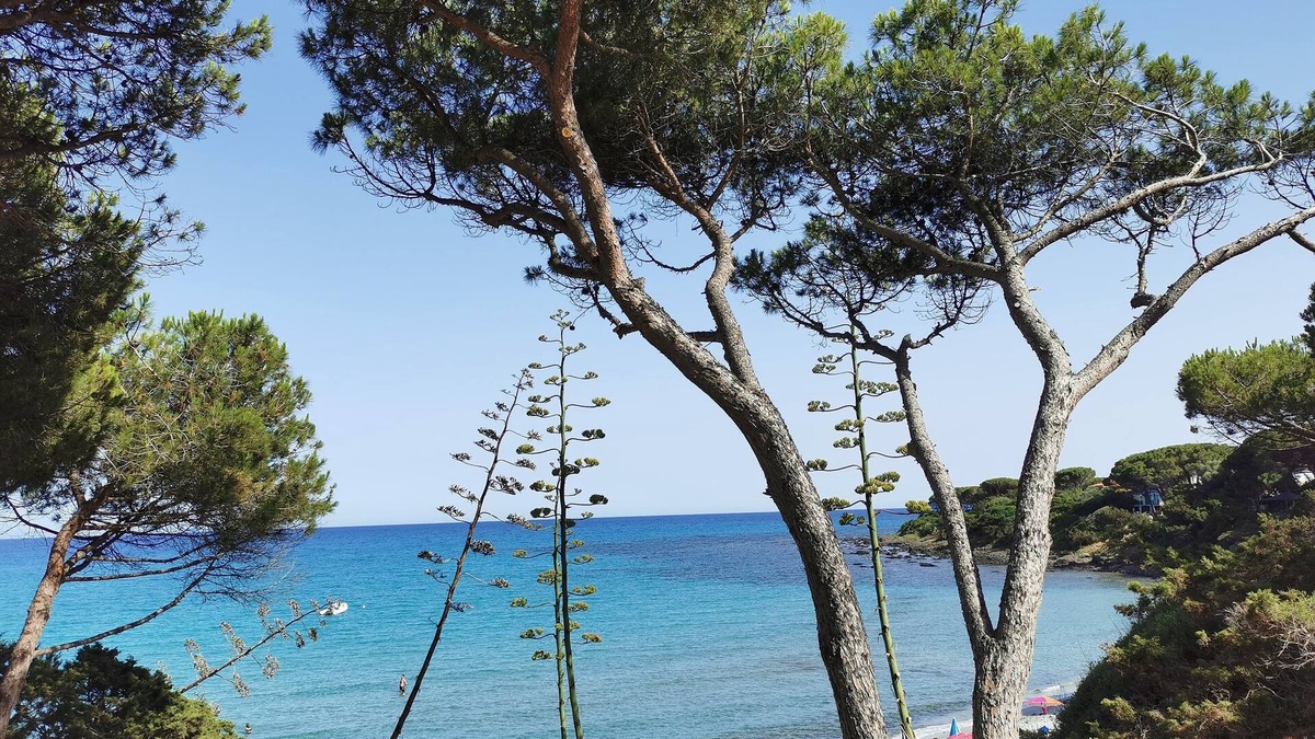 Sas Linnas Siccas Apartment | House Facing the Sea in Sas Linnas Siccas