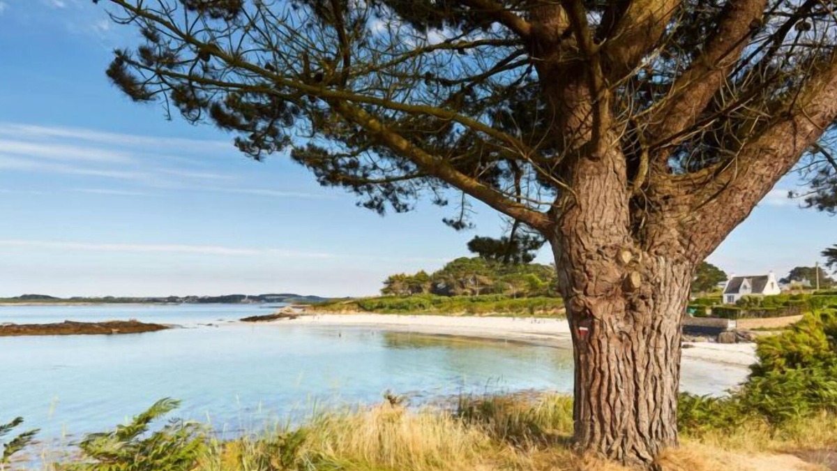Landeda House | House for 5 people, 200m from a beautiful beach