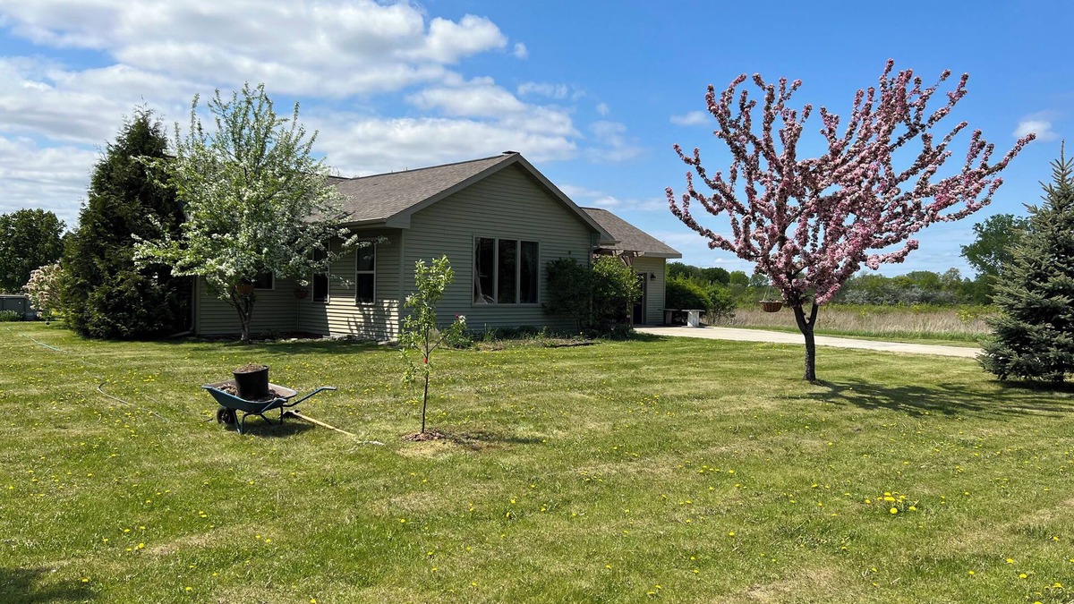 Black Wolf House | House for EAA, 6 miles from grounds