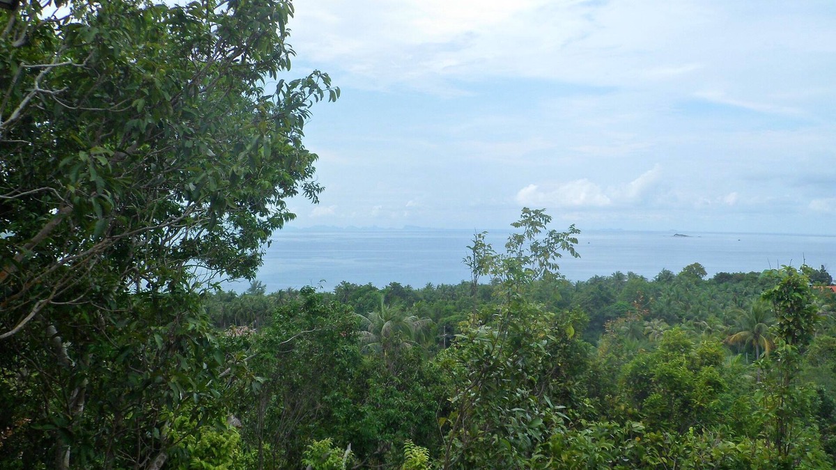 Haad Pleayleam House | House for rent in Koh Phangan with panoramic view