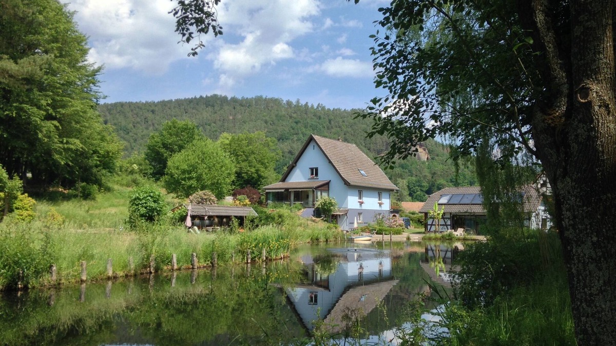 Obersteinbach House | House for up to 10 people. Garden (1 hectare) shared with owners.