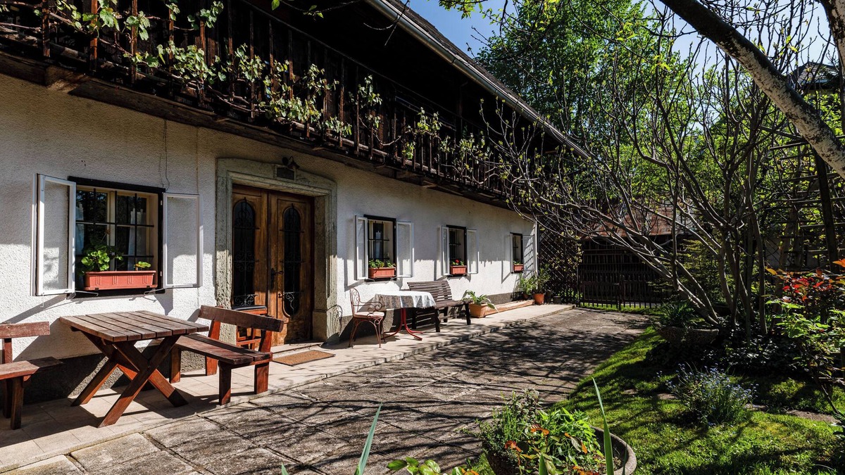 Bled House | House, garden and a green cat