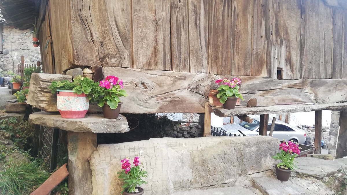 Aller House | House in Asturias in a mountain village