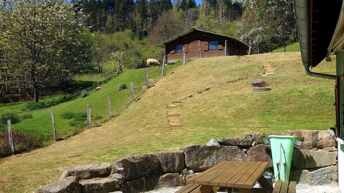 Rimbach-pres-Masevaux House | House in Rimbach Près Masevaux
