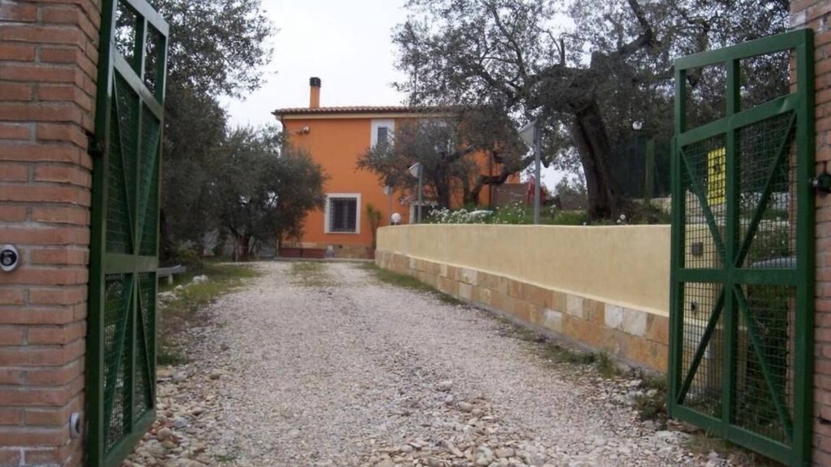 Moscufo House | House in the countryside surrounded by olive trees, with garden and terrace