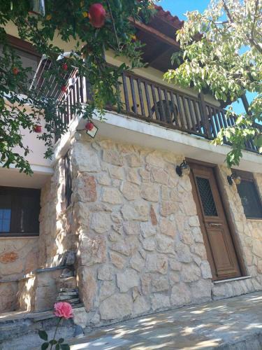 Pisia House | House in the Forest